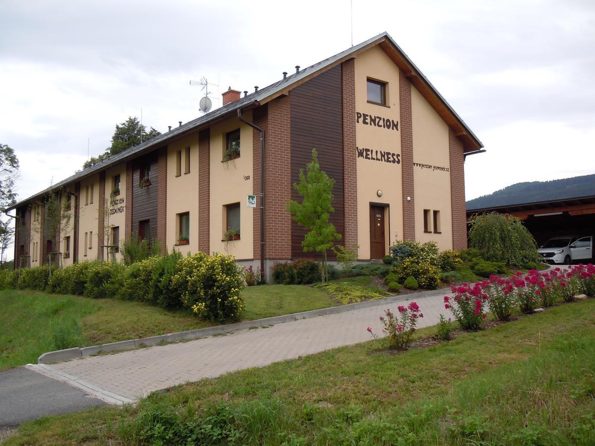 Penzion Jecminek Červená Voda Exteriör bild
